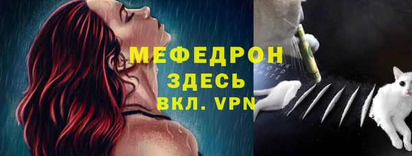 эйфоретик Бородино
