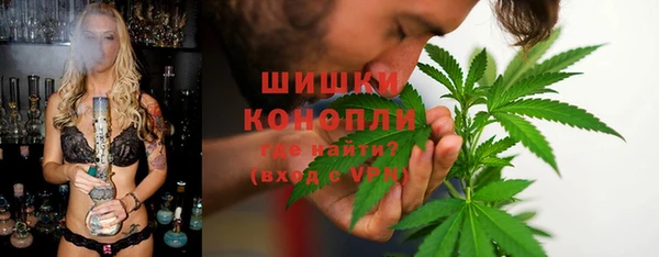 эйфоретик Бородино