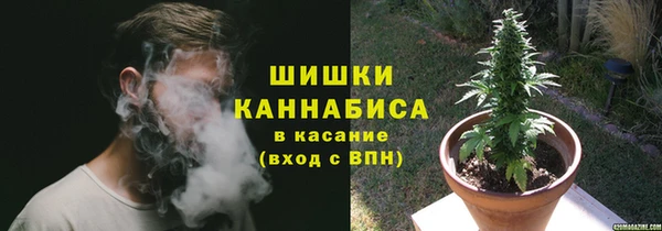 эйфоретик Бородино