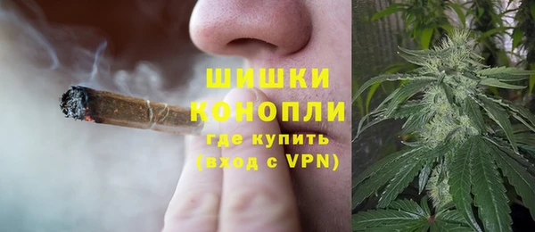 эйфоретик Бородино
