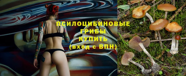 PSILOCYBIN Бронницы