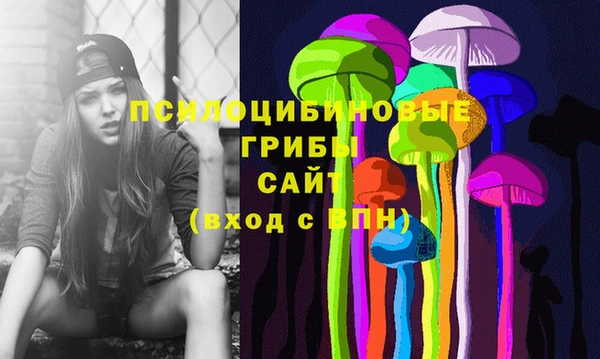 PSILOCYBIN Бронницы