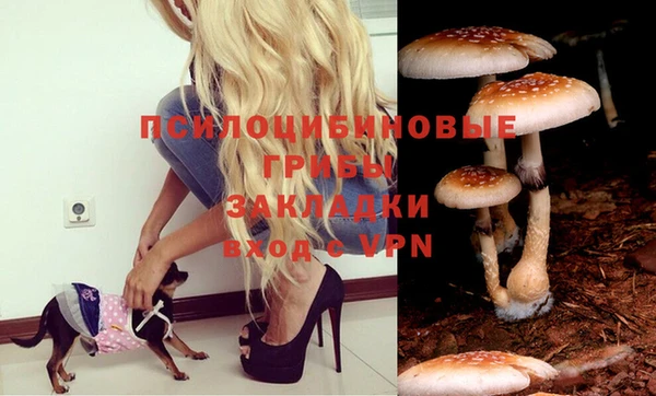 эйфоретик Бородино