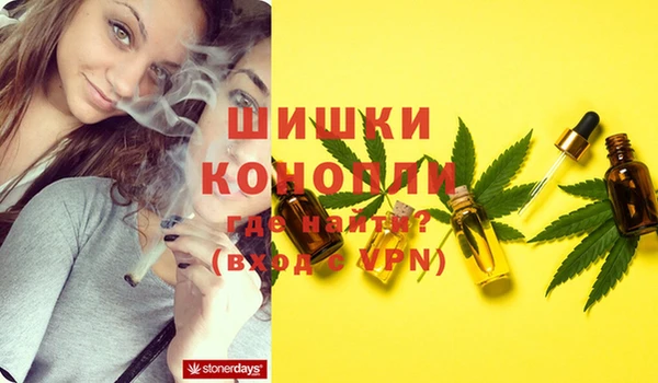 PSILOCYBIN Бронницы