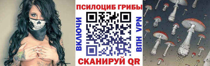 Галлюциногенные грибы мицелий  купить наркотики сайты  ОМГ ОМГ ONION  Кизляр 